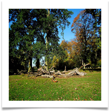Dunham 4 after enhancement - Dave Teehan